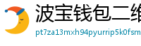 波宝钱包二维码下载
